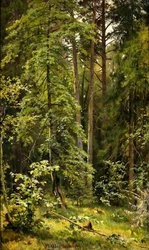 Ein Wald